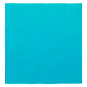 Serviette à 2 plis