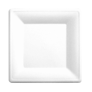 Assiètte carrèe "bionic"